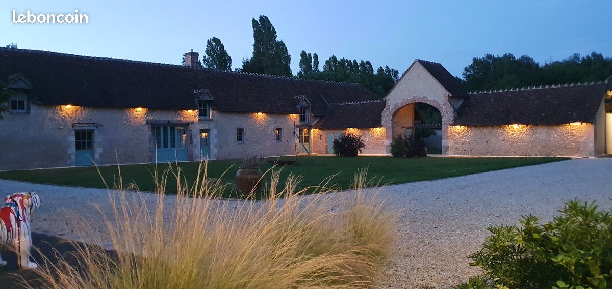 Chasse devant soi en Sologne (image 8)