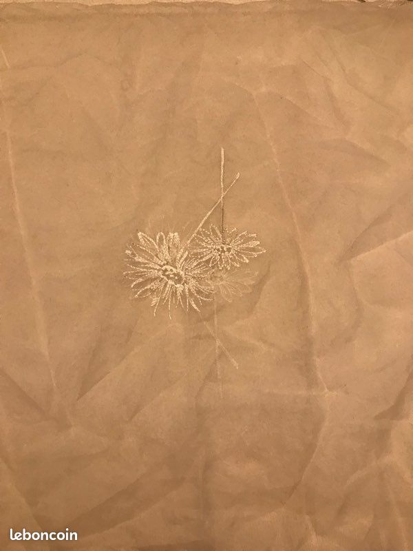 Vends 2 voilages 120/60 blanc avec broderie Marguerite (image 2)