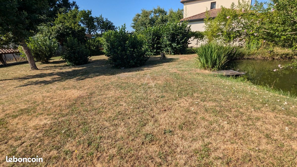Maison 3 pièces 56 m² (image 13)