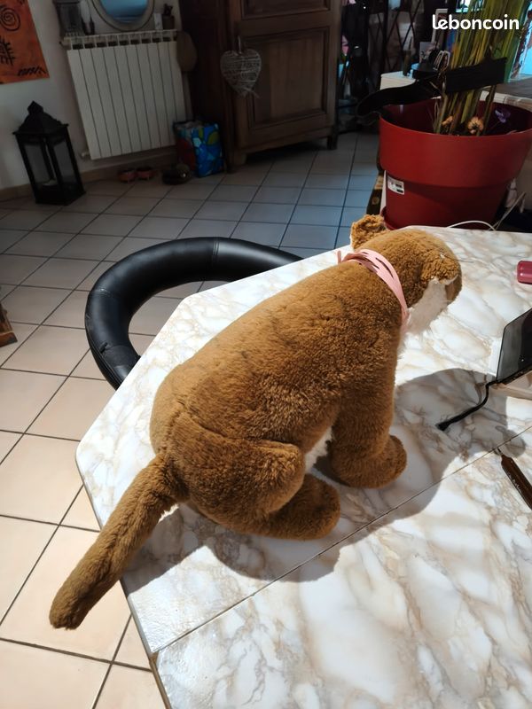Peluche (image 2)