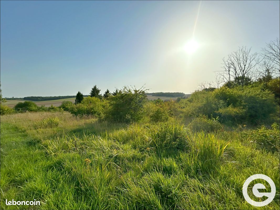 Terrain 4390 m² Bagneaux (image 5)