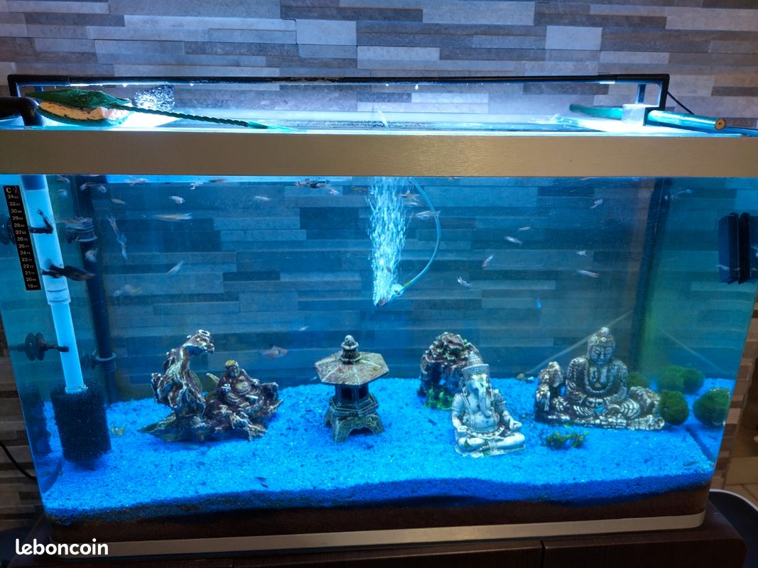 Aquarium osaka 260l (image 1)