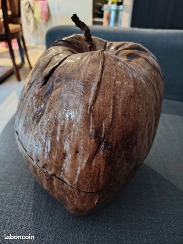 Noix de coco seau à glaçons (image 1)