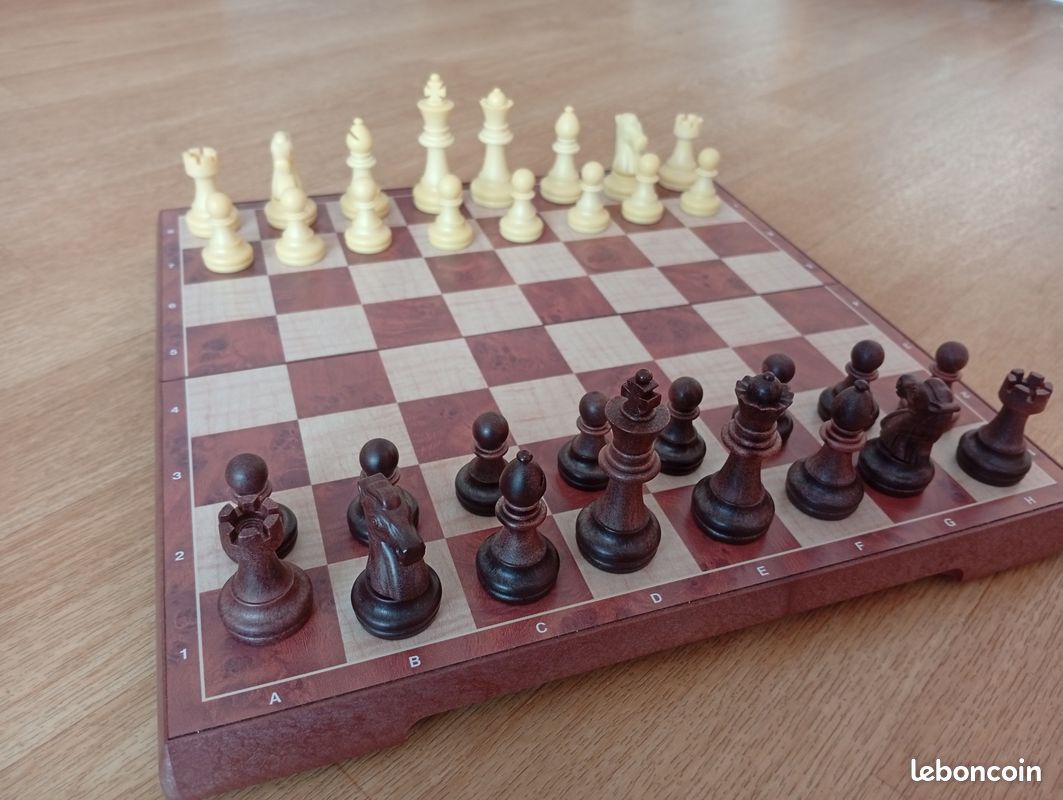 LSS Jeu De Roches D'échecs Magnétiques Jeu D'échecs Magnétique Avec