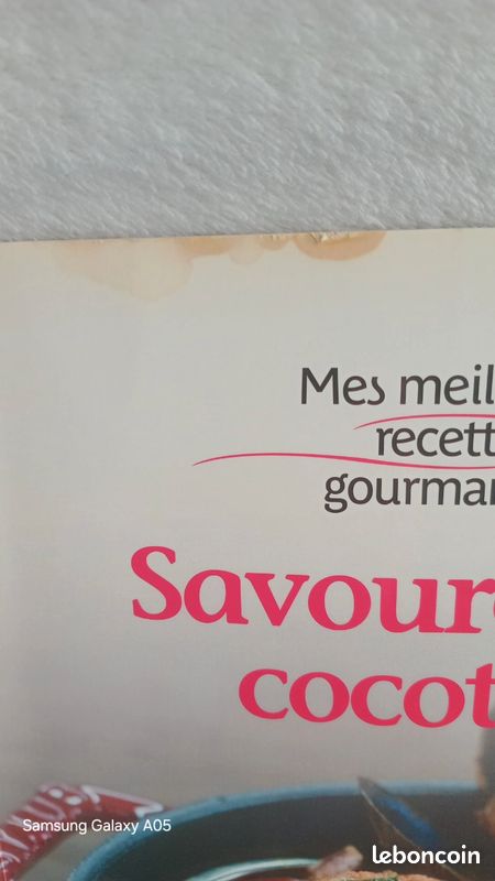 Livre de cuisine "Savoureuses cocottes" (image 6)