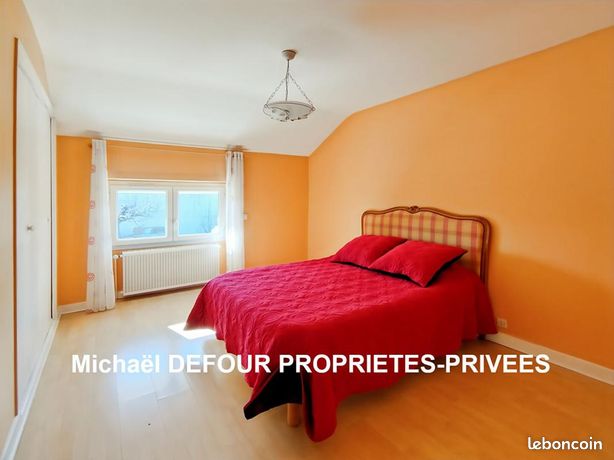 https://img.leboncoin.fr/api/v1/lbcpb1/images/08/39/e9/0839e980921d182e64dae8a20a247ebeb4ff699f.jpg?rule=ad-image