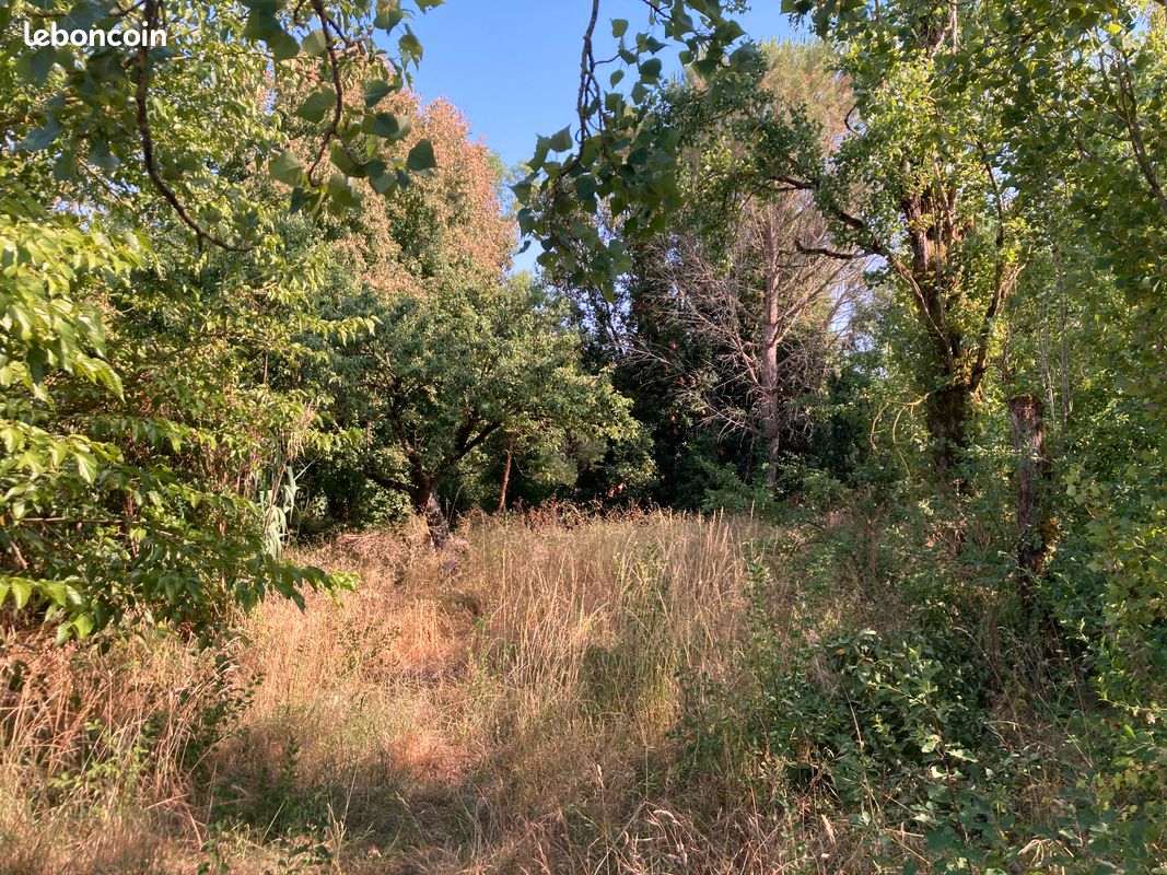 Terrain 1200 m² · à La Grève-sur-Mignon · 45 000 €