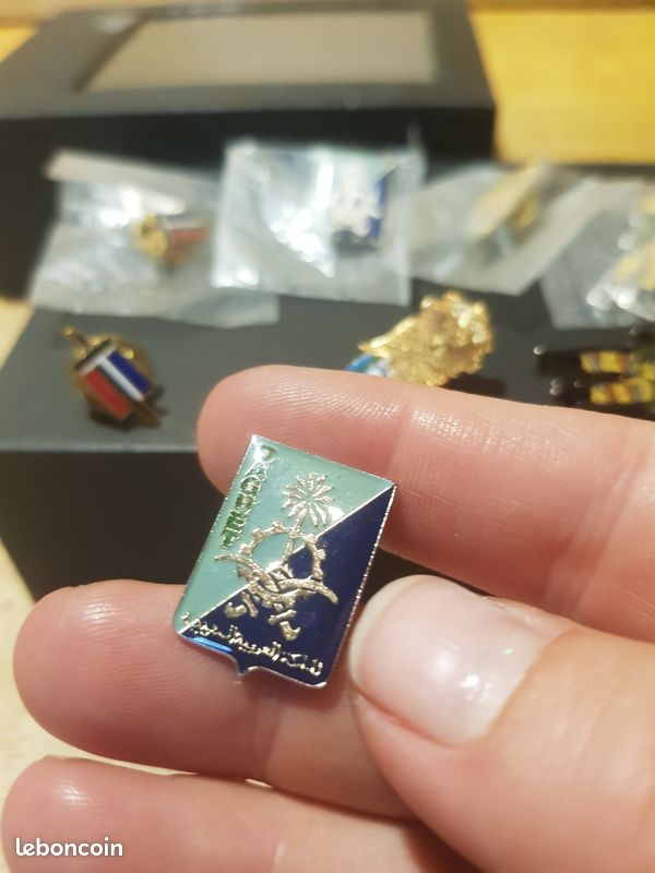 Pin’s Armée De Terre - Le pavillon noir