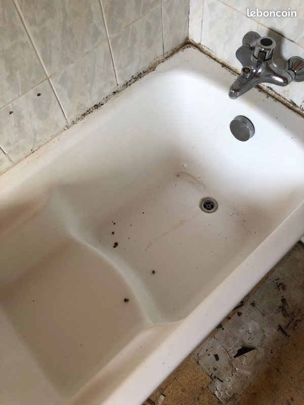 Baignoire avec assise (image 2)