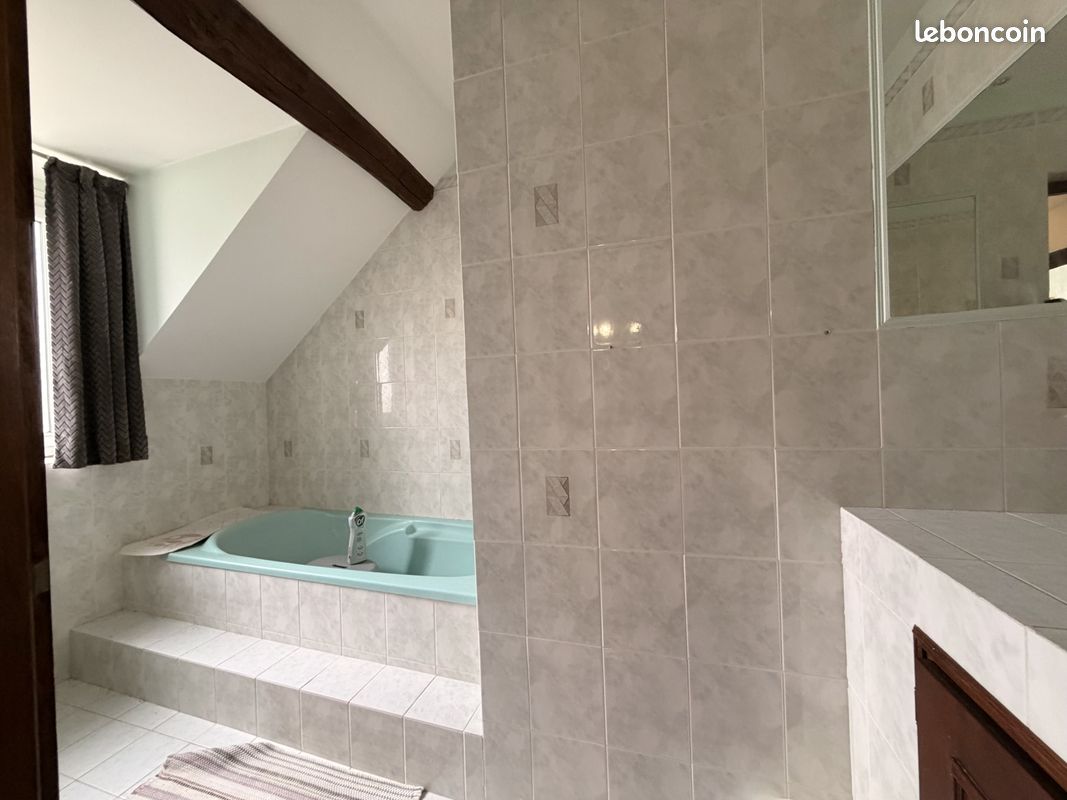 Maison 8 pièces 214 m² (image 9)