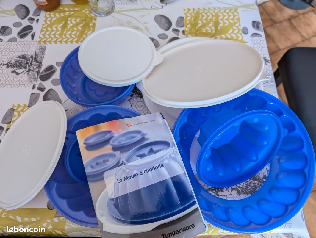 Moule à Charlotte Tupperware + Plateau & 4 Formes - Diamètre 20 Cm - Occasion TBE