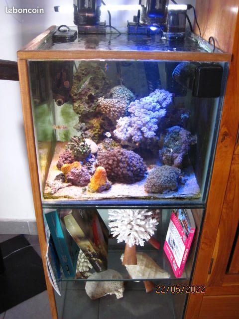 Aquarium (image 2)