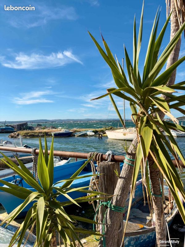 Appartement 2 pièces 36 m² · à Sète · 36 m² · 570 €