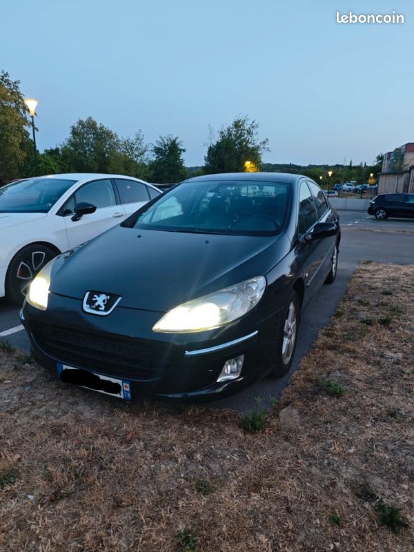 Peugeot 407 (image 1)