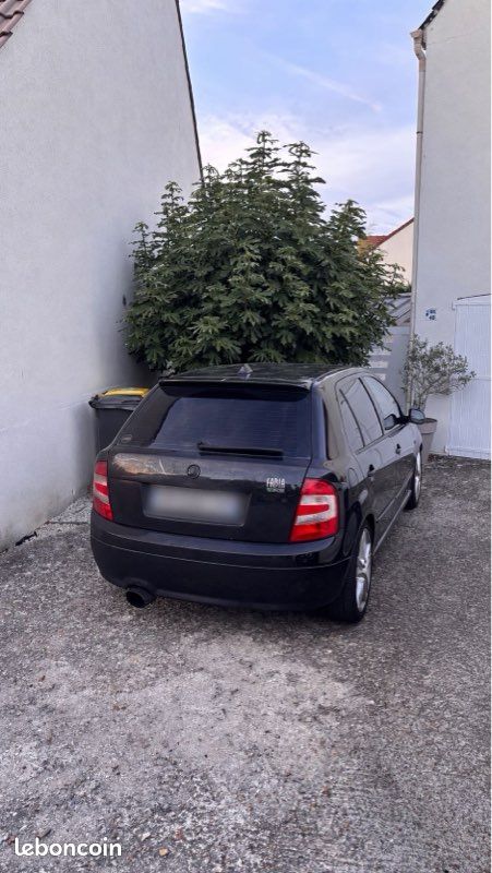 Skoda fabia vrs (image 2)