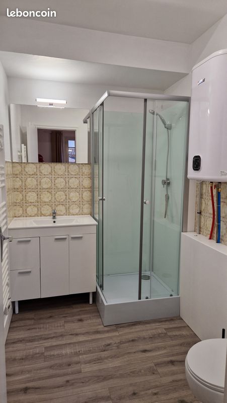 Location estivale meuble studio - Poitiers 86000 (image principale 2)