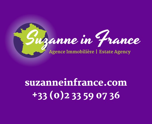 SUZANNE IN FRANCE Pro leboncoin