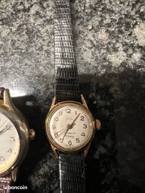 Montre Mécanique Vintage Tell Suisse - 15 Bijoux, Remontage Manuel, Occasion