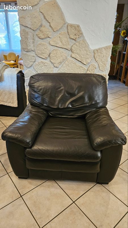 Fauteuil cuir (image 1)