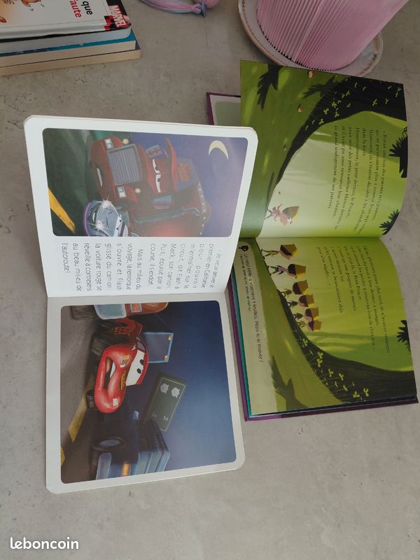 Lot 2 Livres (image 2)