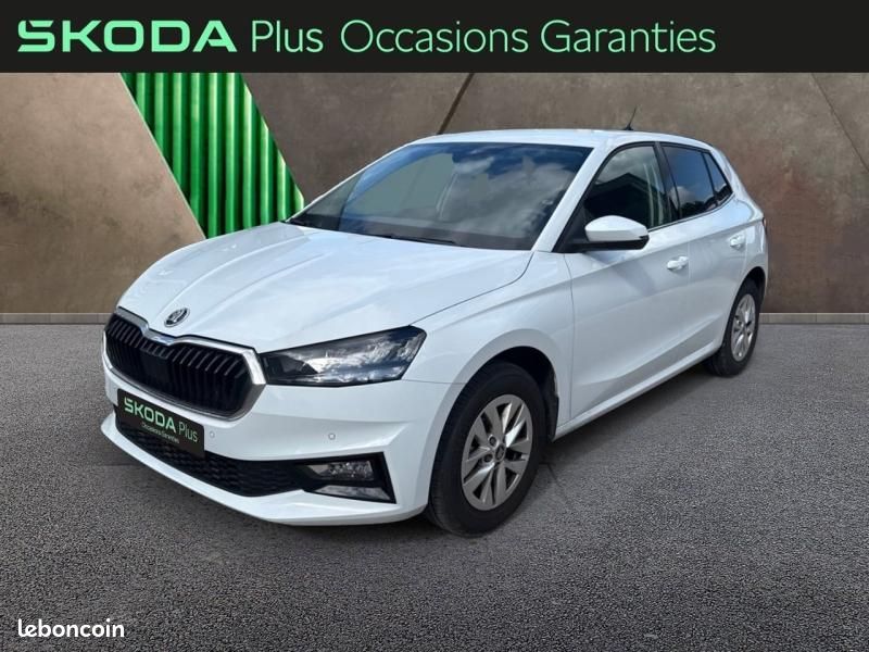 Skoda Fabia 1.0 TSI Evo2 116ch Selection DSG7 (image 1)