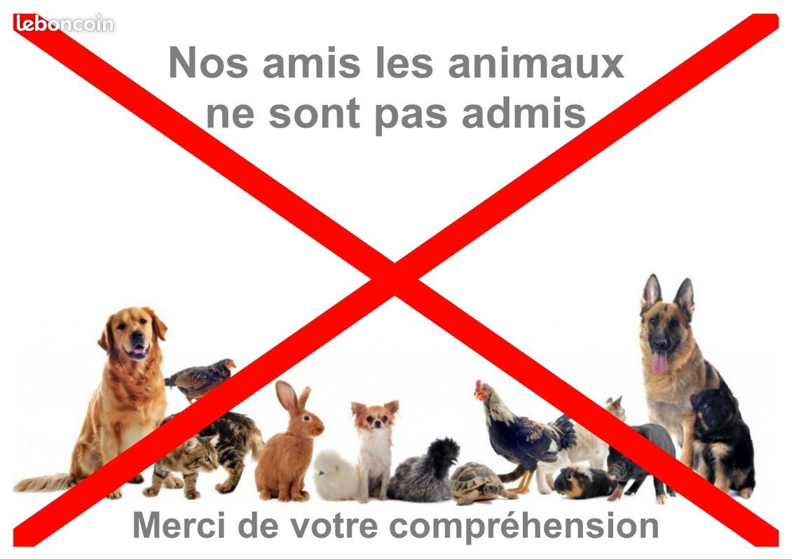 Maison 6 personnes petite Camargue (image 13)
