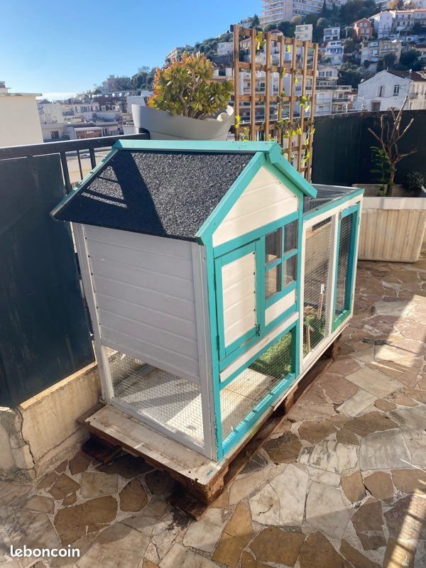 Clapier/ Maison pour lapin nain (image 1)