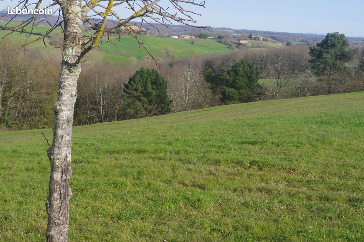 TERRAIN DE 4HA sur les hauteurs à 10 MN DE MONTAUBAN · à La Salvetat-Belmontet · 60 000 €