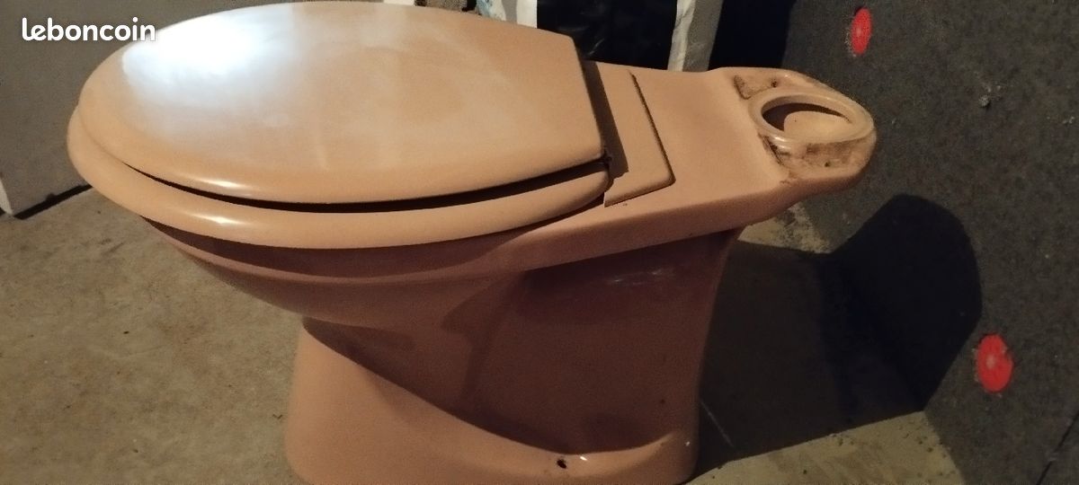 Cuvette toilettes en grès rosée (image 2)