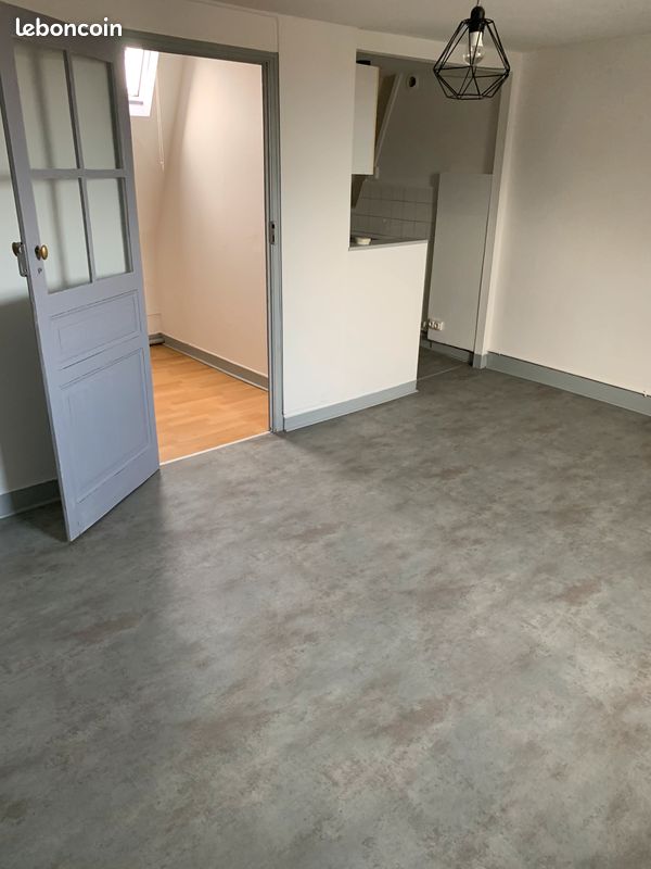 T2 hyper centre - Limoges 87000 Centre-Hôtel de Ville Emailleurs (image principale 1)