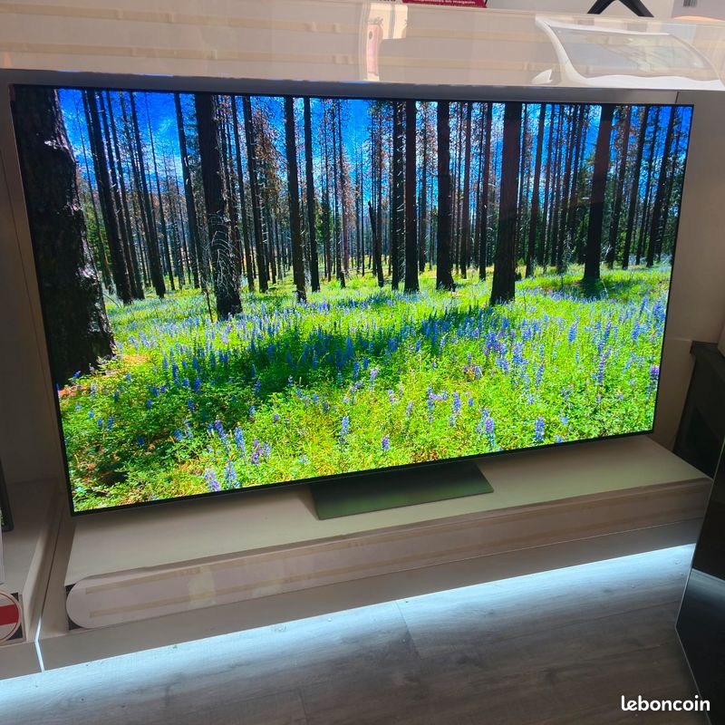 LG OELD 65G3 | Pied LG (image 6)