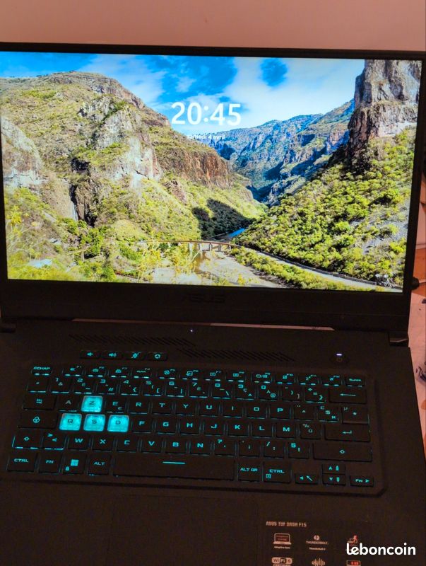 Asus Tuf Dash F15 Tuf516Pr-Hn033T reconditionné