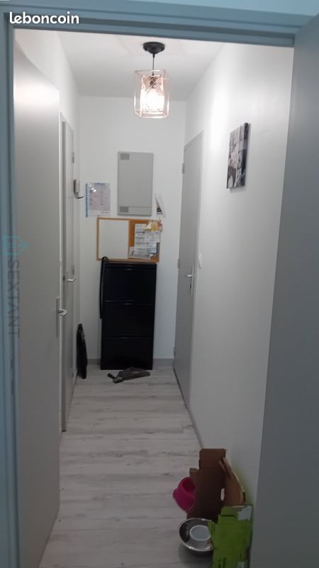 Studio 1 pièce 24 m² - Saint-Georges-de-Didonne 17110 (image principale 5)