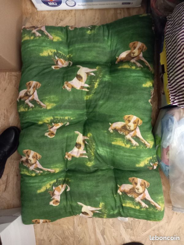Coussins chien (image 3)