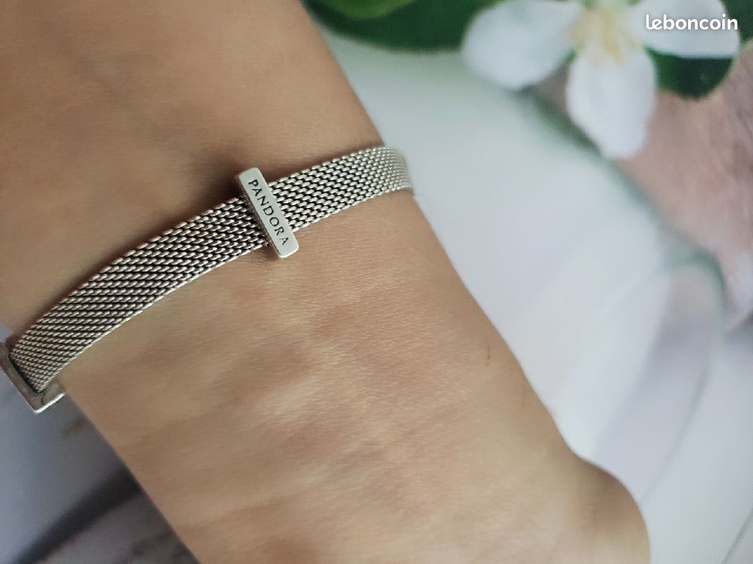 Joli charme Pandora (image 2)