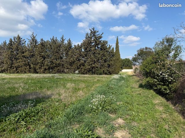 Avignon Montfavet terrain à bâtir viabilisé · 134 000 €