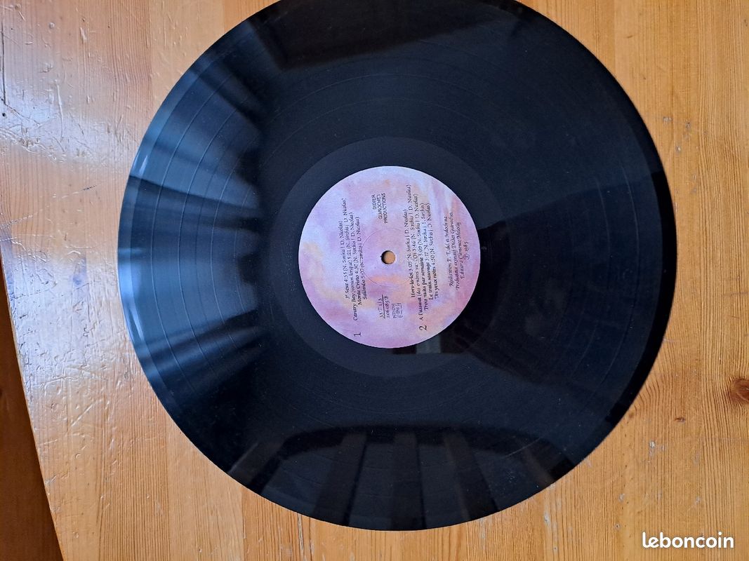Vinyle Indochine 33T (image 4)