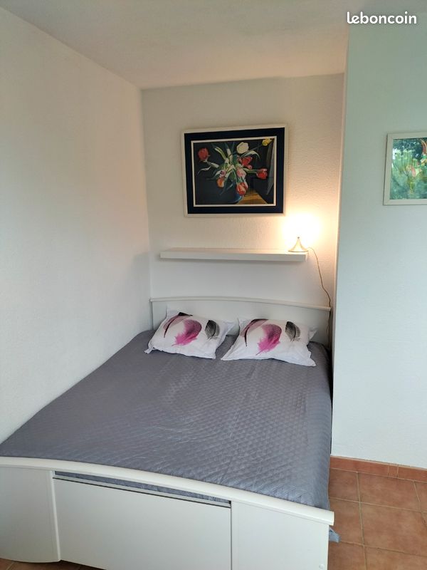 Appartement 1 pièce 18 m² · à Avignon · 18 m² · 450 €/mois