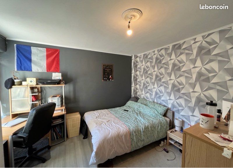 Grand appartement Bron (image 1)
