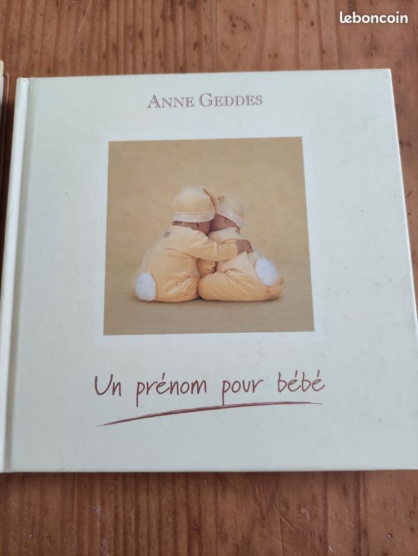 Livres Anne Geddes lot de 2 (image 1)
