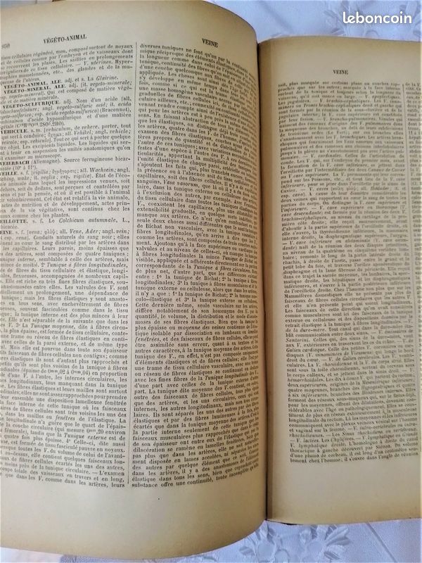 Nouveau dictionnaire de medecine, de chirurgie 1886 (image 6)