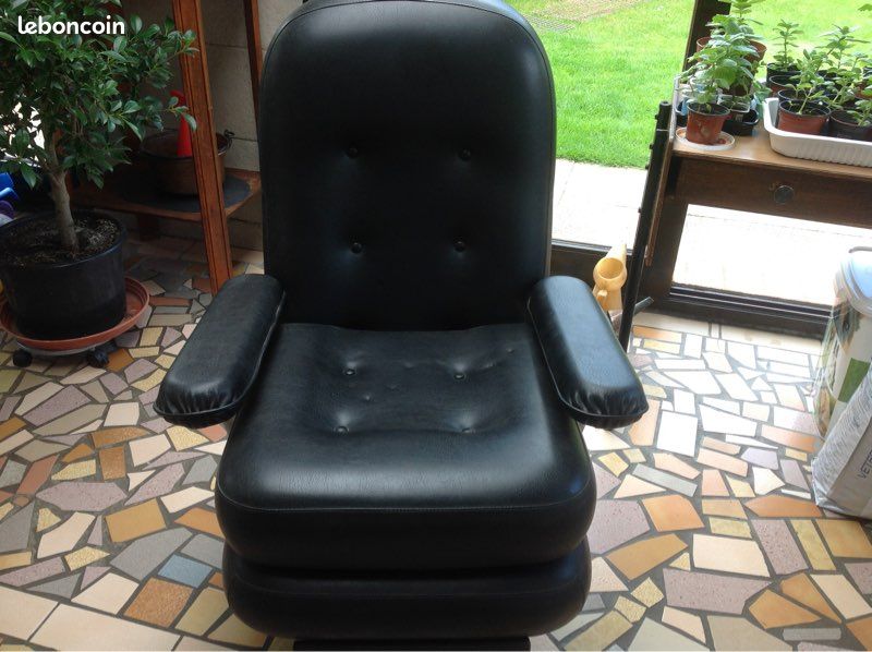 Fauteuil everstyl (image 1)