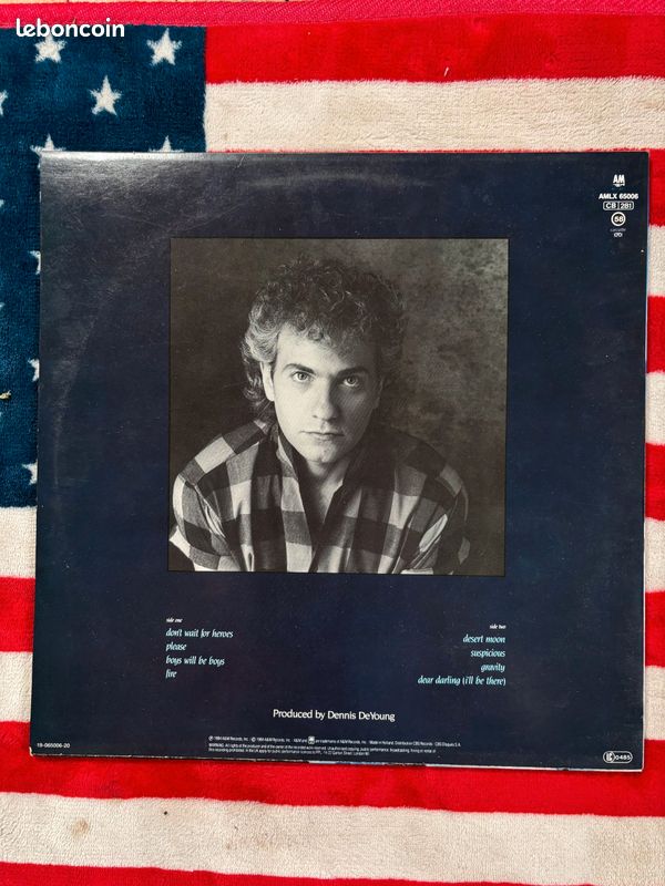 Dennis DeYoung vinyle 33 tours Rock🖤 (image 2)