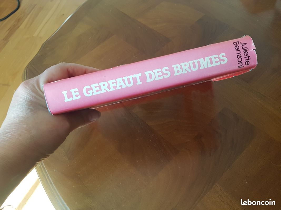 Le Gerfaut des brumes, tome 1 : Le Gerfaut Par Juliette Benzoni (image 4)