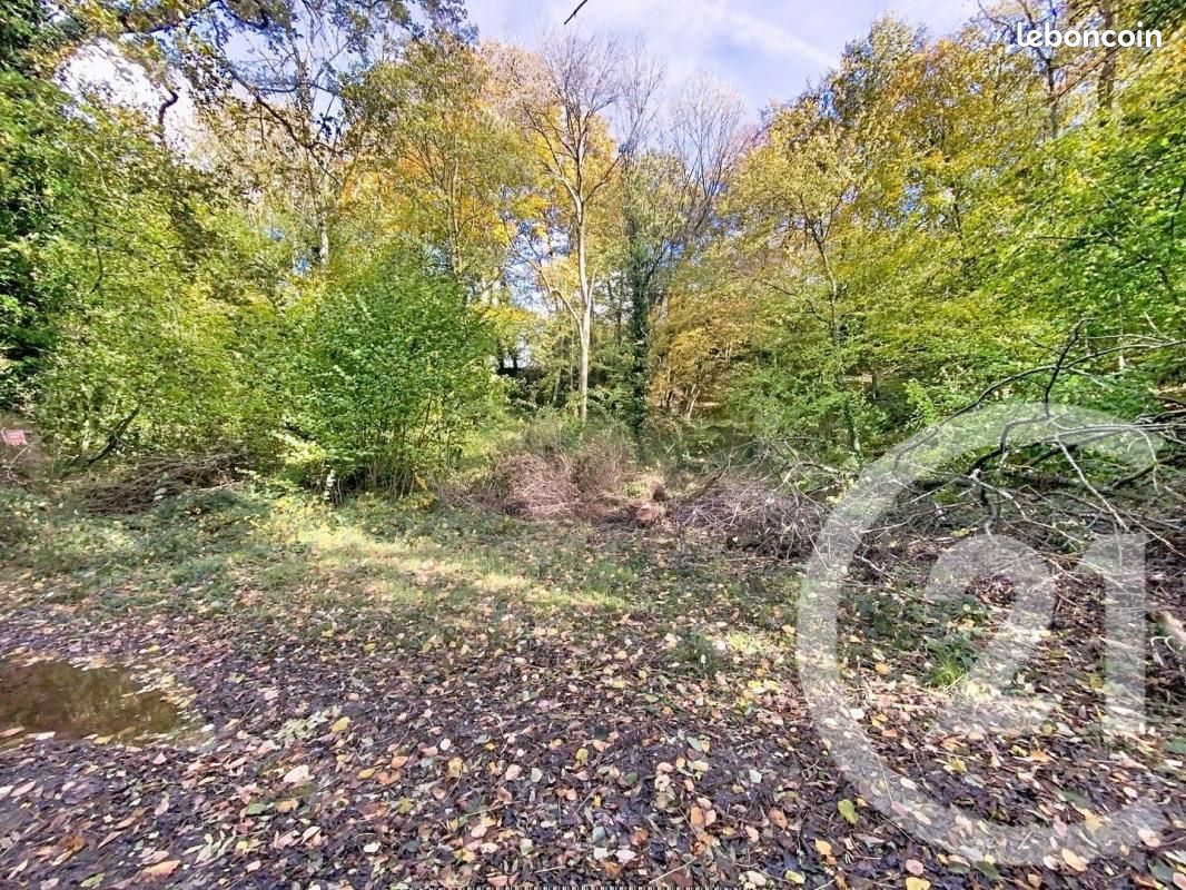 Terrain 3125 m² · à Renneville · 10 000 €