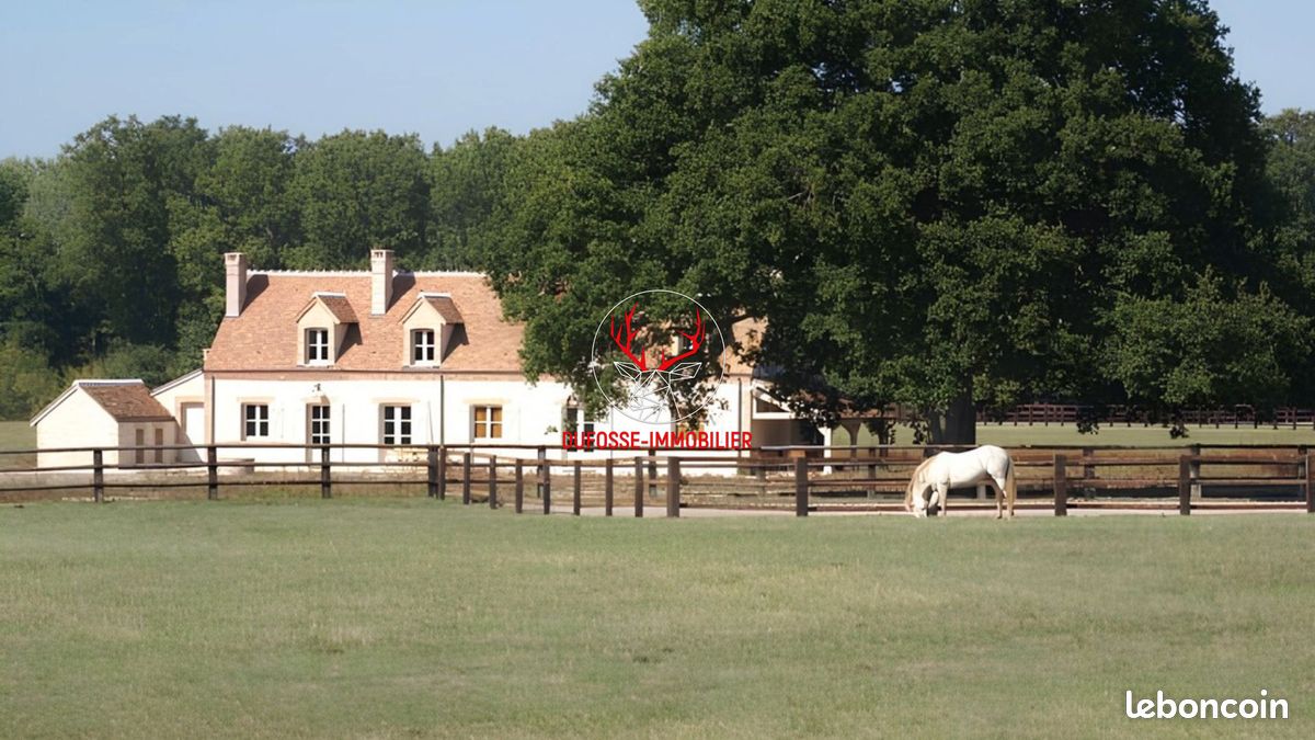 Maison 6 pièces 245 m² · à Romorantin-Lanthenay · 245 m² · 990 000 €