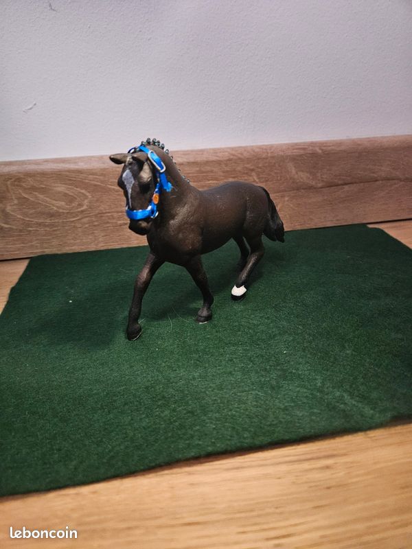 Cheval et sa cavalière (image 2)