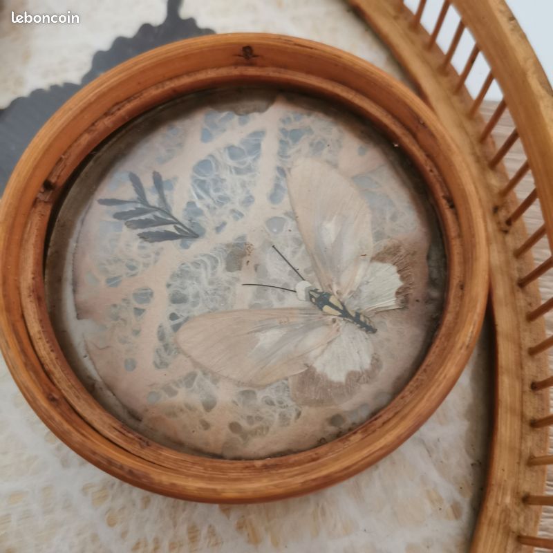 Plateau en rotin. Papillons. 4 sous verres (image 7)