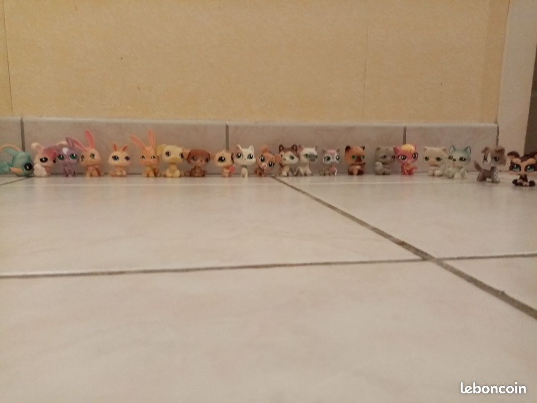 Collections petshops (image 4)