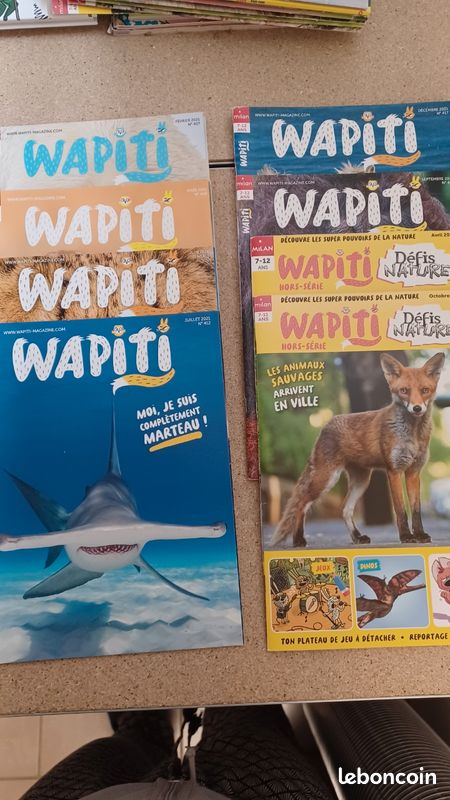 Wapiti - 2021 (image 1)